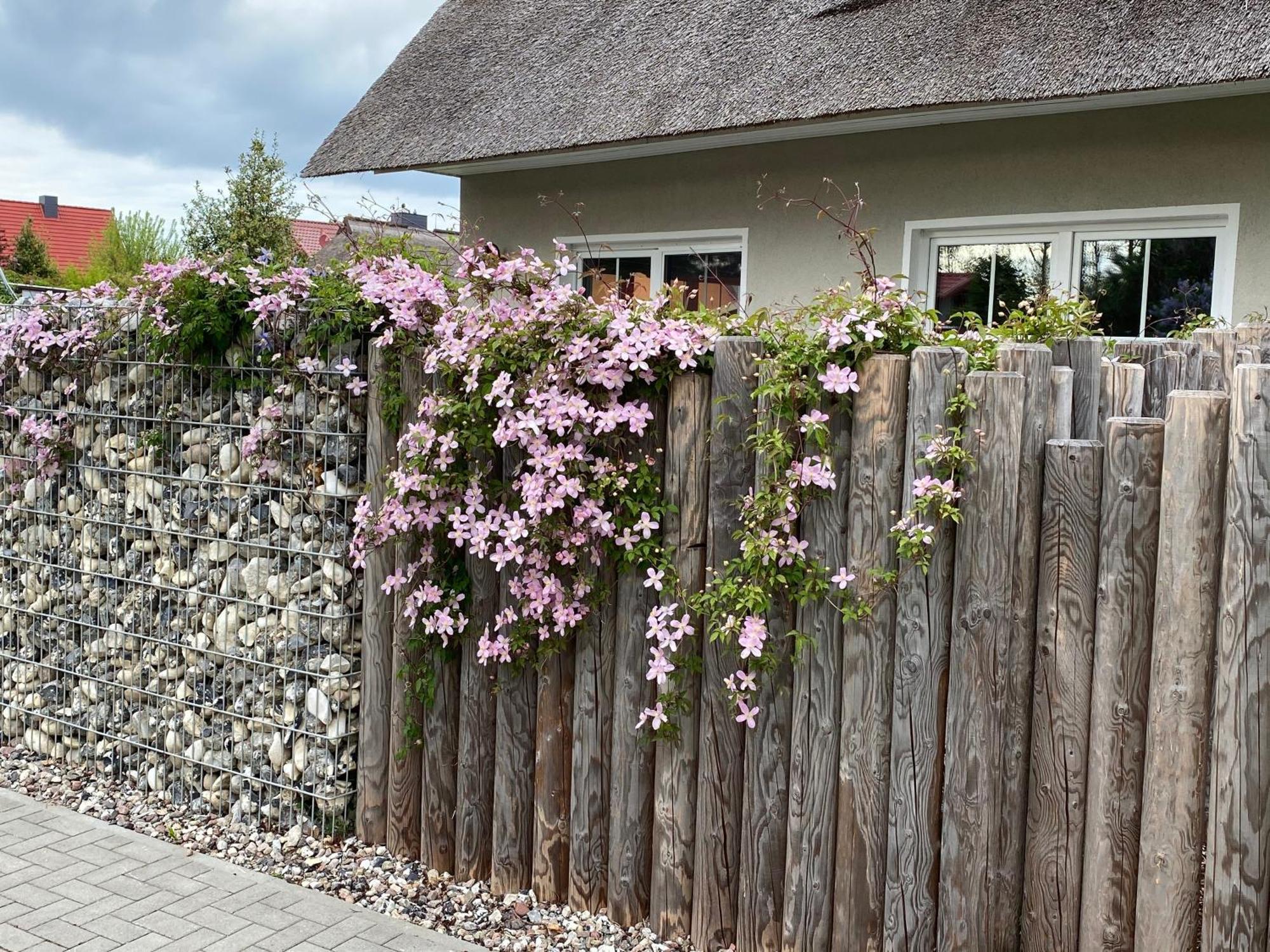 Kleine Seenixe Zingst Esterno foto